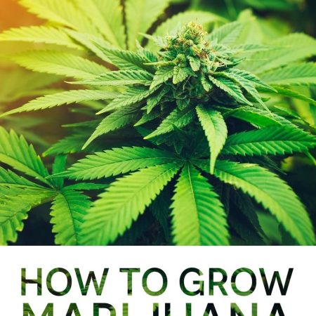 Marijuana: How to Grow Marijuana: From Seed to Harvest - Complete Step by Step Guide for Beginners